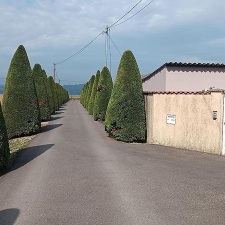 Charmante Maison Avec Piscine Anneyron Luaran gambar
